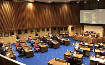 AZ Senate #ERA Support: aye cheered today, nay voters we want gone November 2018